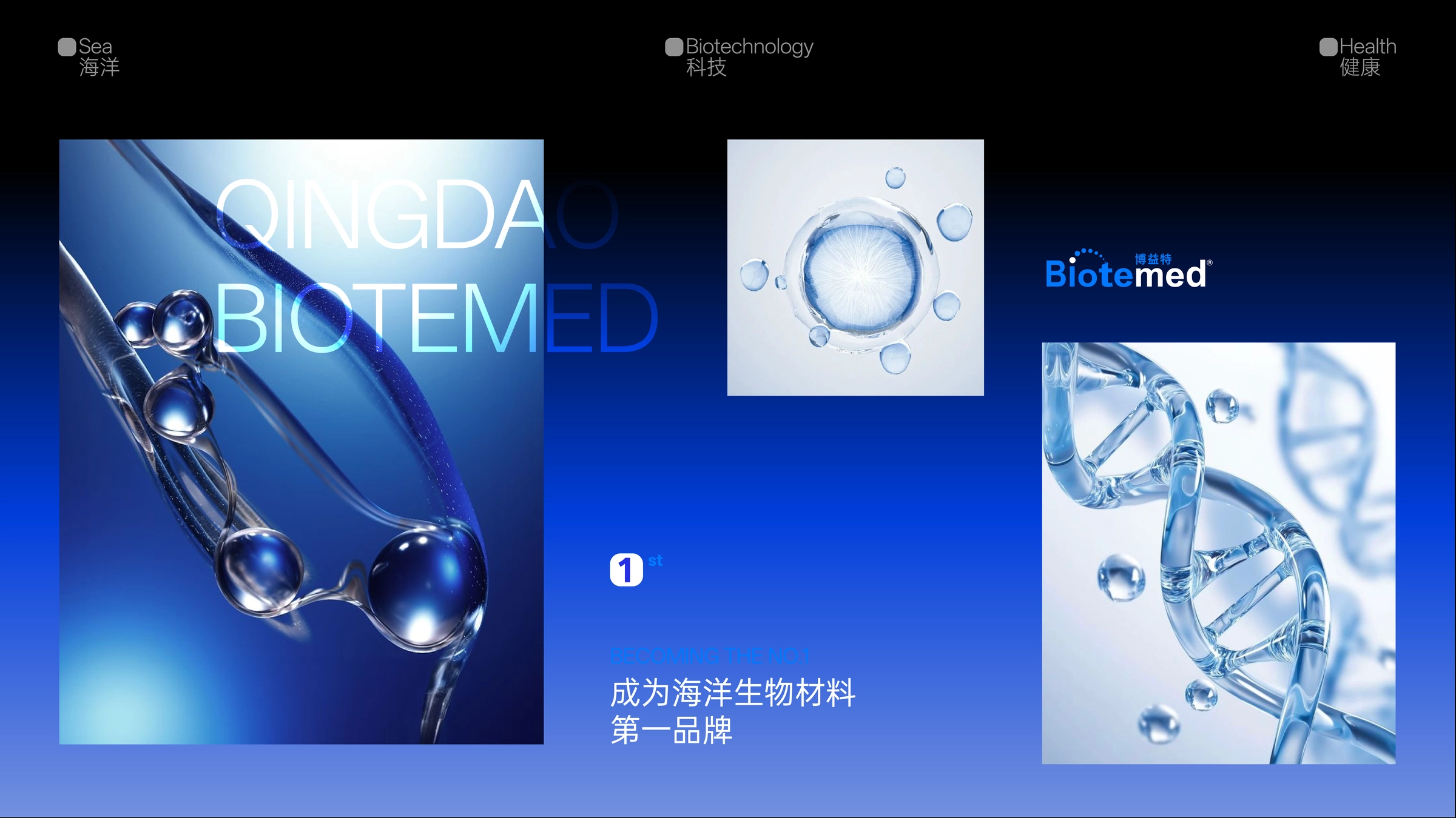 Biotemed Brand Visual System Upgrade Image 09